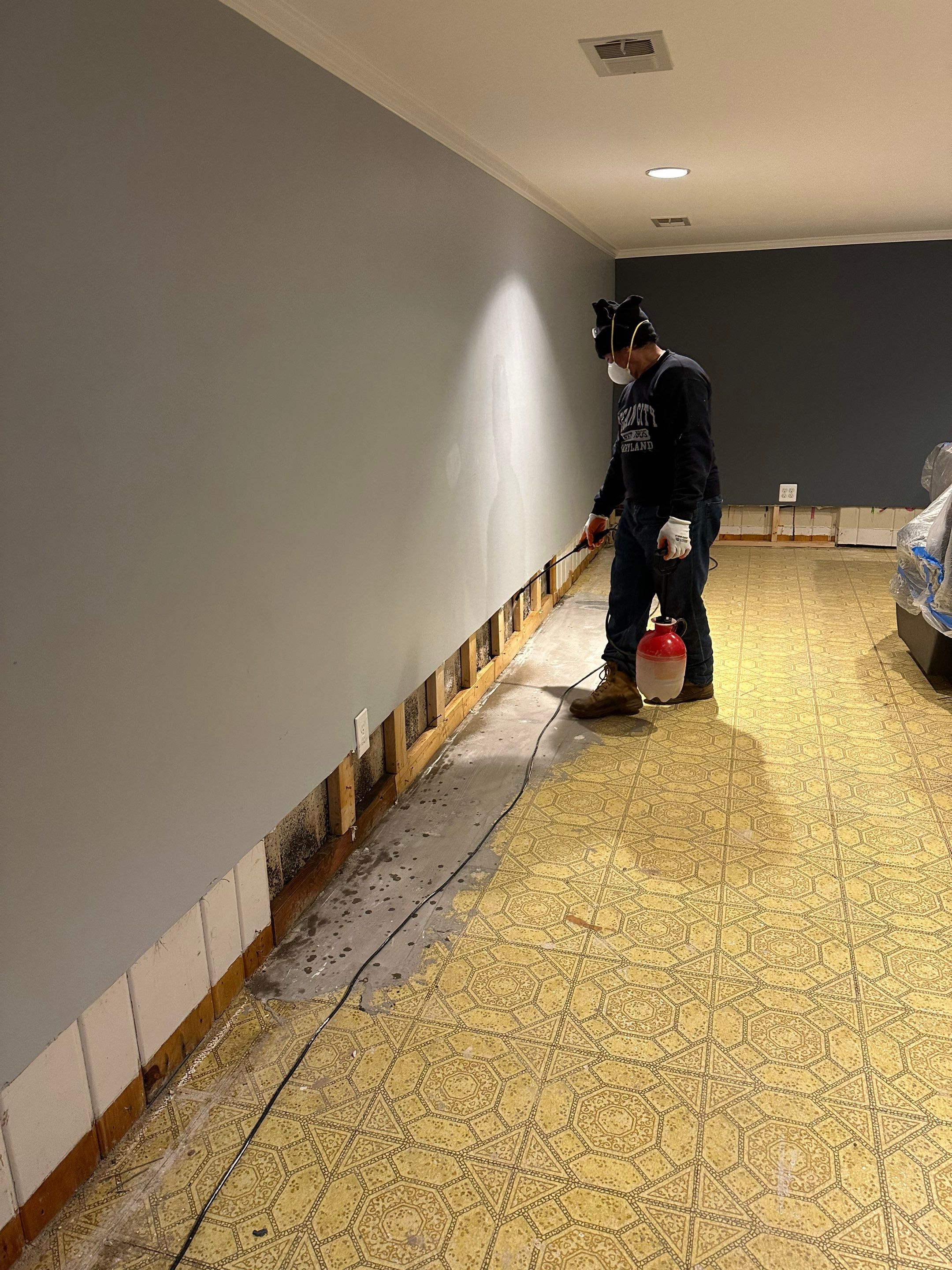 Initial mold remediation assessment in Kensington, documenting extent before containment and removal.